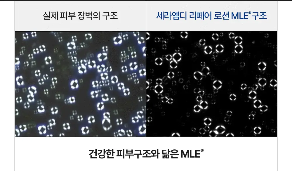 [무향]더마비 세라엠디 리페어 로션 400ml 상세페이지 33